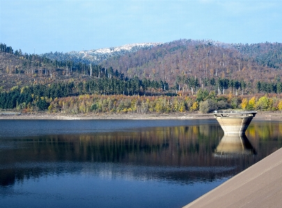 Landscape tree water nature Photo