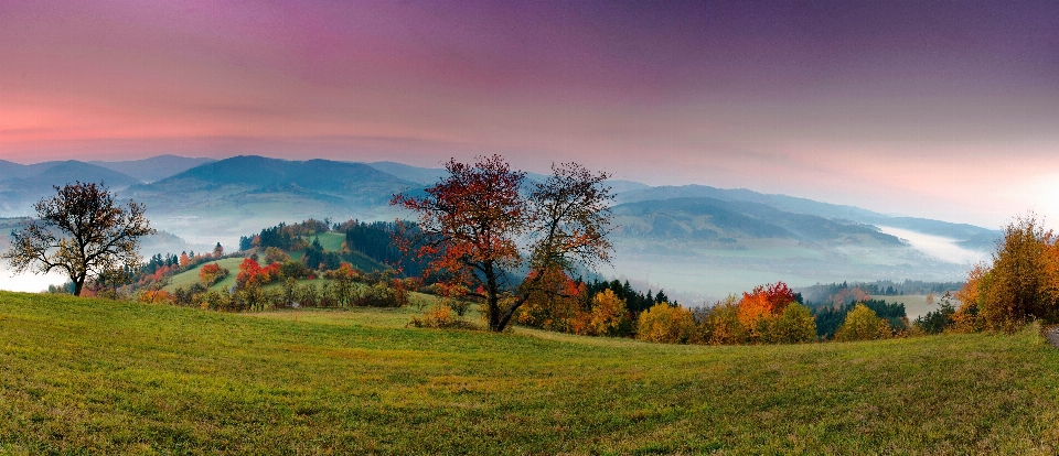 Paisaje árbol naturaleza desierto
