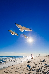 Beach sea coast water Photo