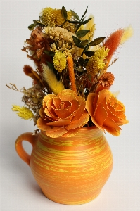 Plant flower vase decoration Photo