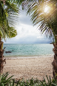 Beach landscape sea coast Photo