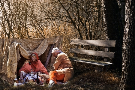 Tree forest wilderness person Photo