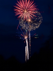 Night flower recreation sparkler Photo