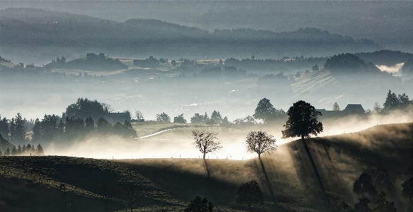 Landscape nature forest mountain Photo