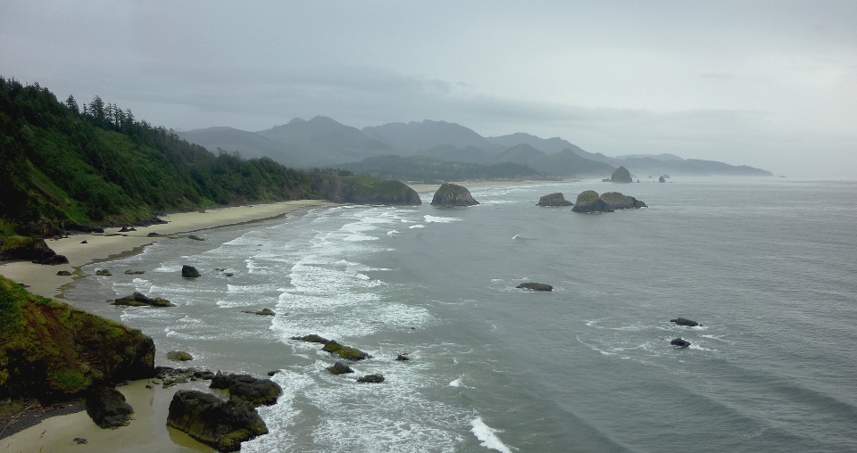 海滩 海 海岸 水