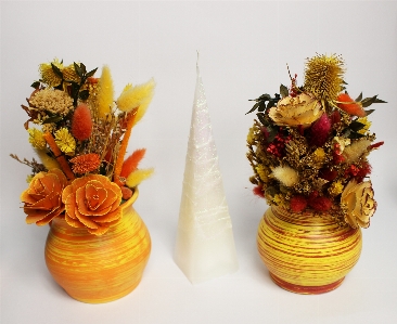 Plant flower vase decoration Photo