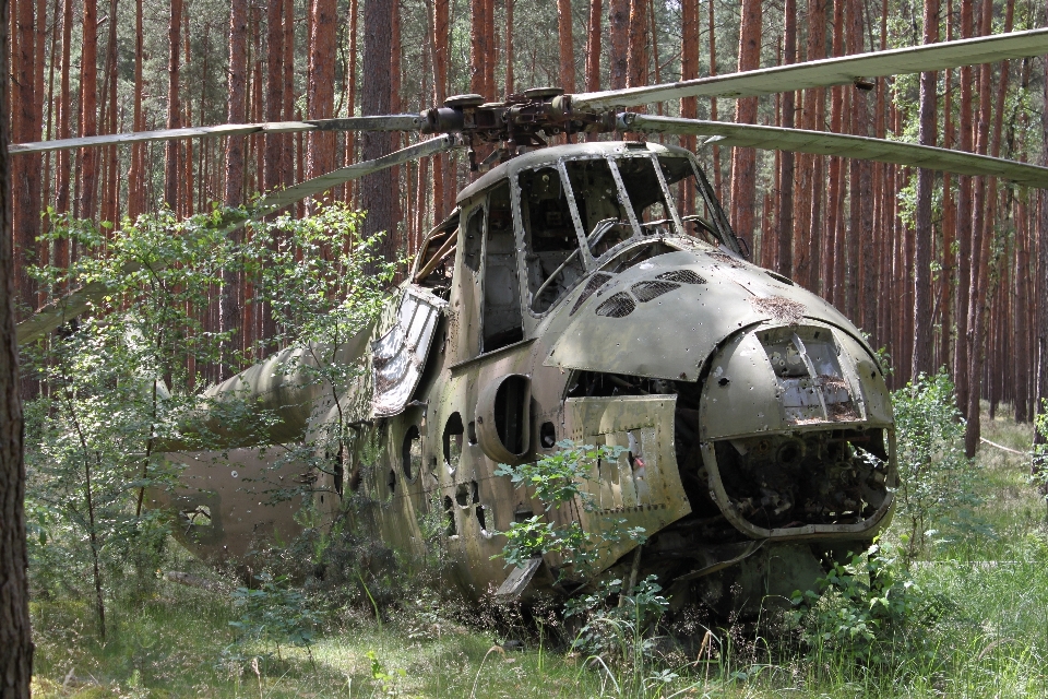 森 航空機 軍隊 車両