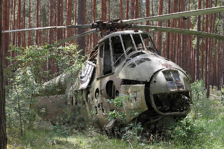 Фото лес самолет военный транспортное средство