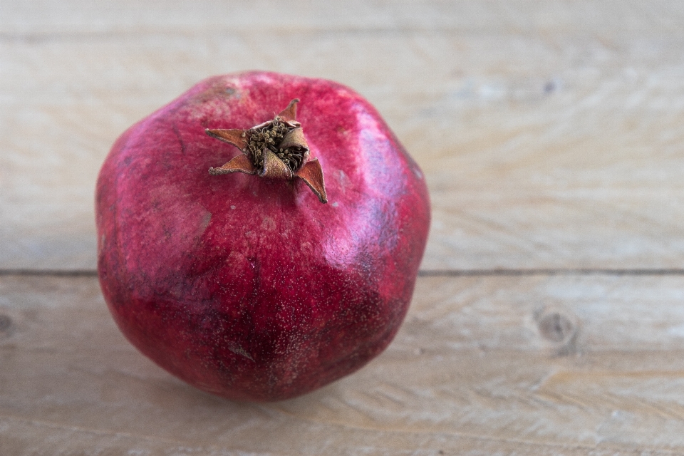 Apple tanaman buah bunga