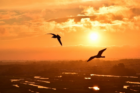 Foto Laut air alam bayangan hitam