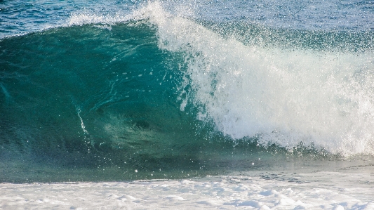 Beach sea coast nature Photo