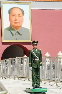 Foto Orang militer tentara profesi