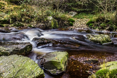 Landscape tree water nature Photo