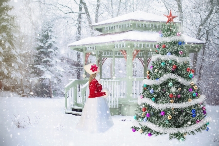 Foto Albero nevicare inverno bianco