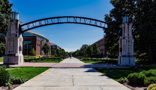 Landscape nature architecture bridge Photo