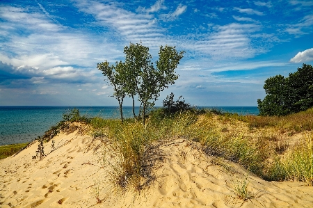 Beach landscape sea coast Photo