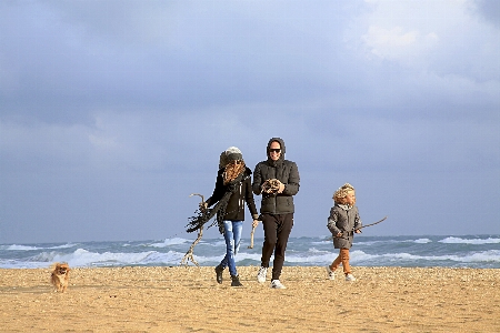 Beach sea coast sand Photo