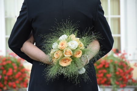 Nature plant woman flower Photo