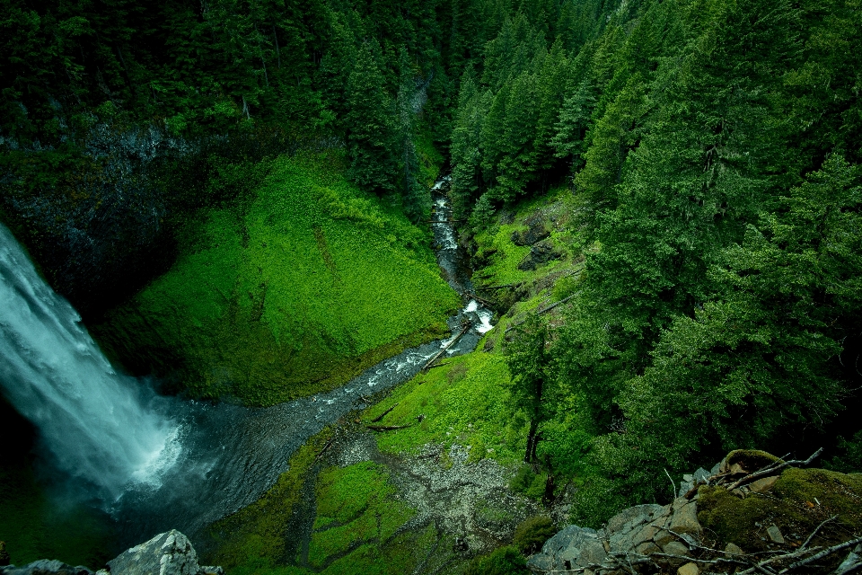 Landschaft baum wasser natur