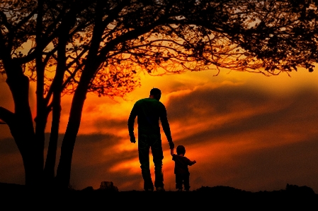 Tree nature silhouette sun Photo