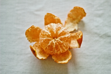 Plant fruit sweet leaf Photo