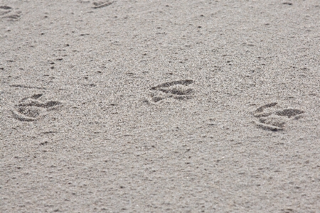 Photo Plage mer sable rock