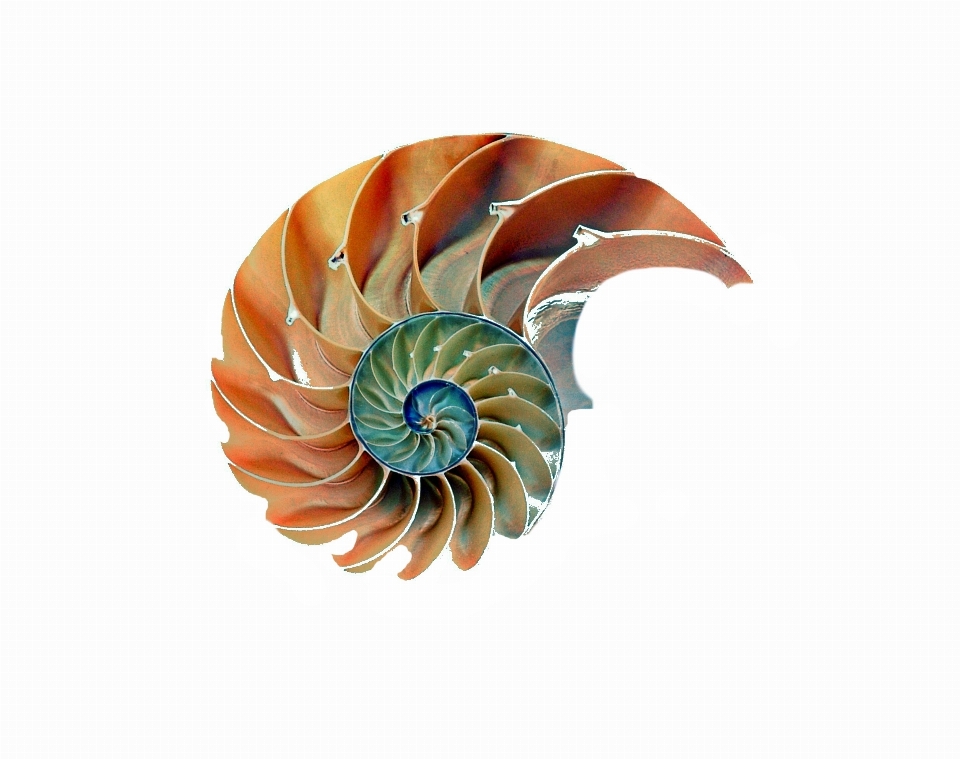 Beach nature structure spiral