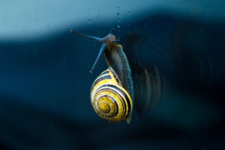 Dew photography spiral glass Photo