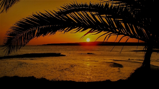 Beach landscape sea coast Photo