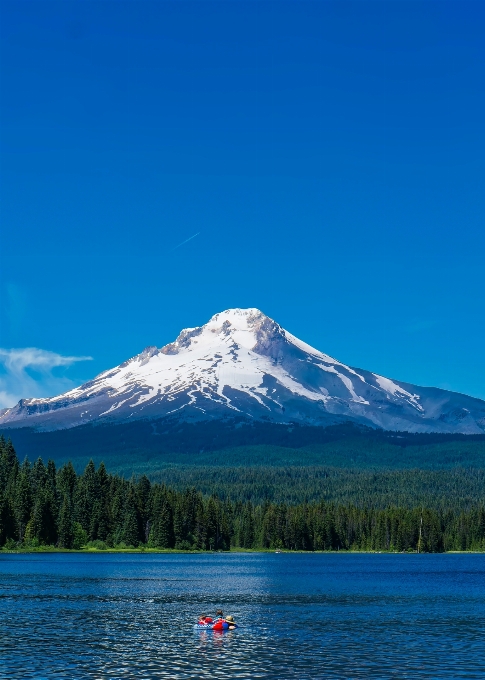 Paesaggio acqua natura foresta