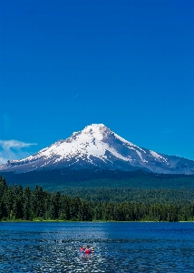 Landscape water nature forest Photo