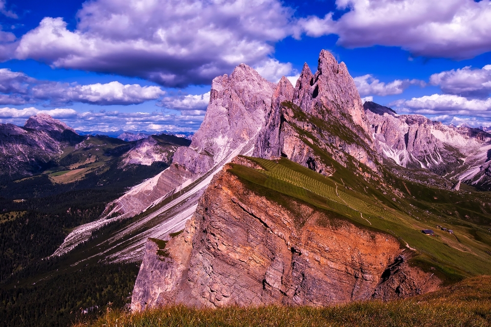 Landschaft natur wald rock