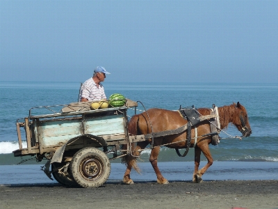 Beach wagon vacation vehicle Photo