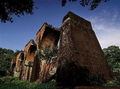 木 草 rock 建築 写真