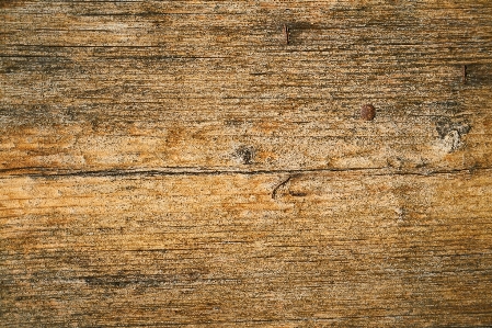 Wood texture plank floor Photo