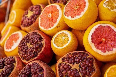 Plant fruit orange food Photo