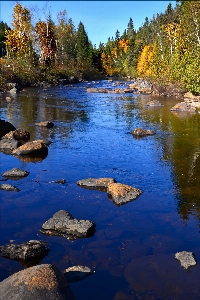 Landscape tree water nature Photo