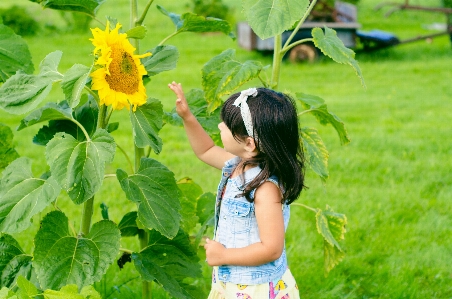 Nature outdoor plant girl Photo