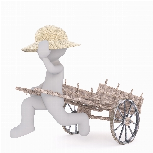 White cart isolated model Photo