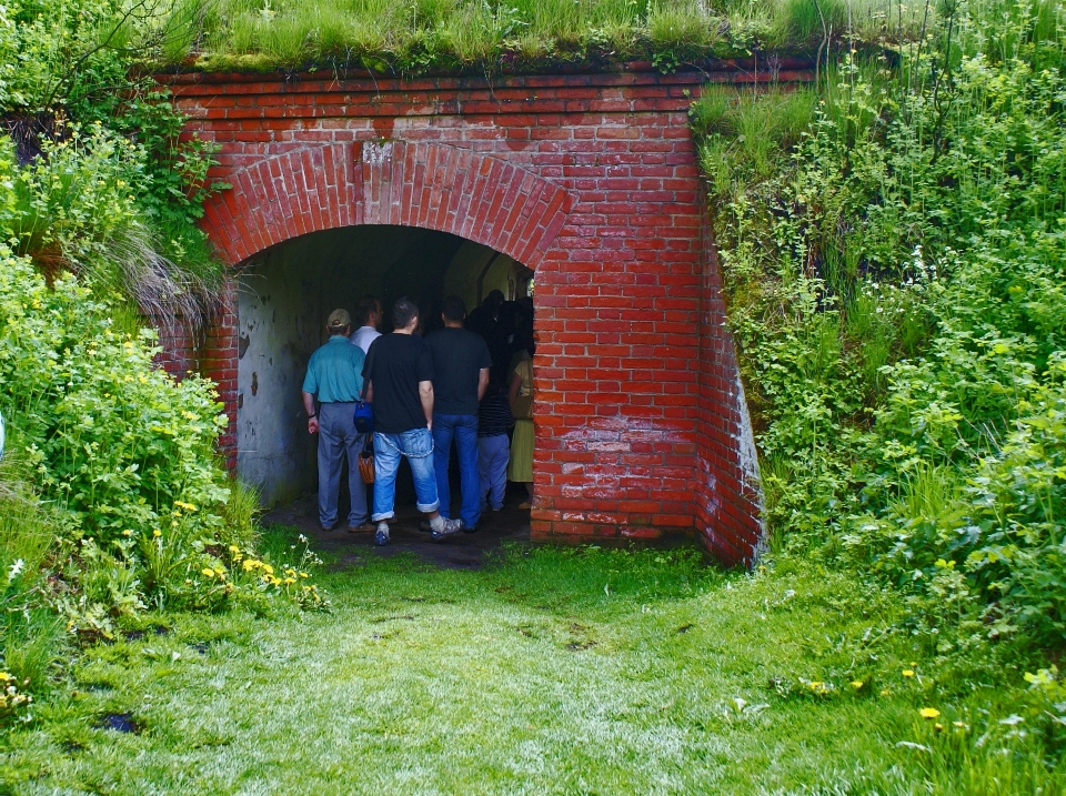 Gente granja túnel verde