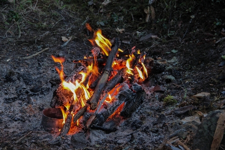 Flame fire soil campfire Photo