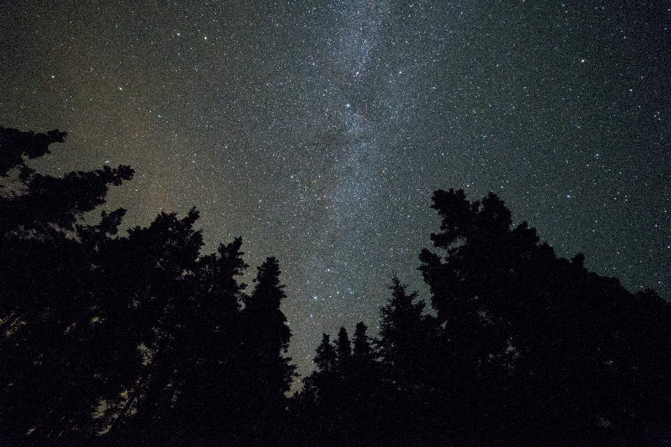 Silhueta céu noite estrela