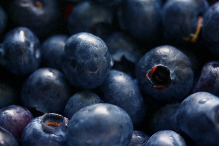 Group plant fruit berry Photo