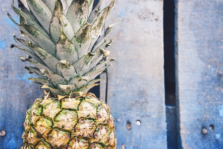 Foto Tanaman kayu buah makanan