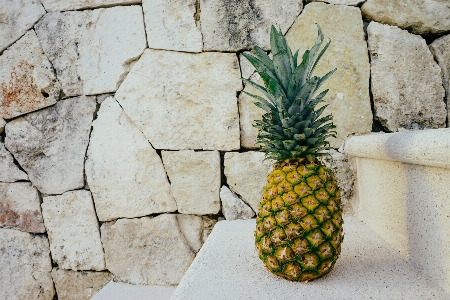 Foto Pohon cabang tanaman buah