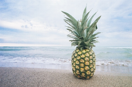 Foto Pantai air pasir laut