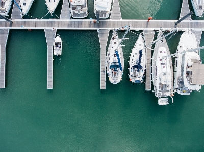 Dock 人々 白 壁 写真