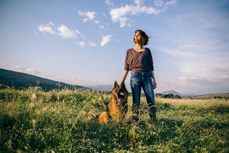 Landscape nature grass horizon Photo