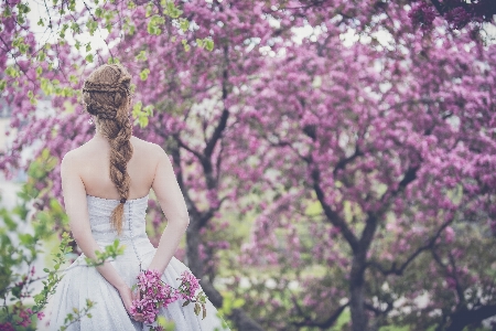 Blossom plant girl woman Photo