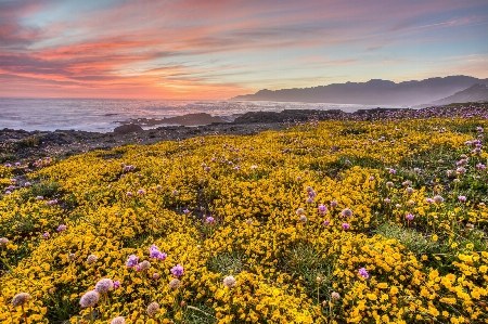 Landschaft meer natur ozean Foto